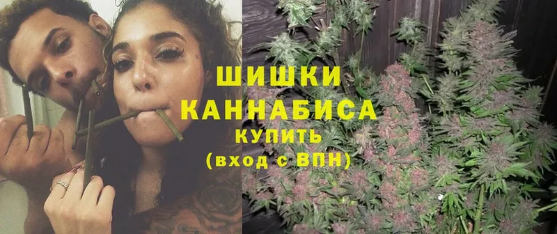 Бошки марихуана SATIVA & INDICA  где купить наркотик  Алапаевск 